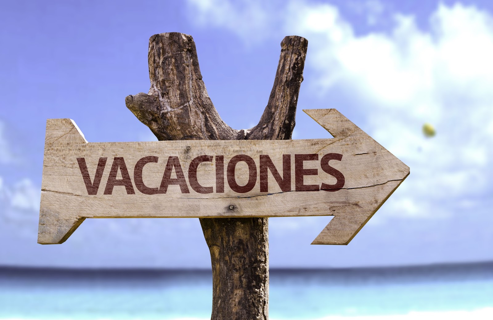 vacaciones 2024 02 13 00 19 11